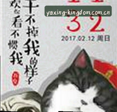 赵敏